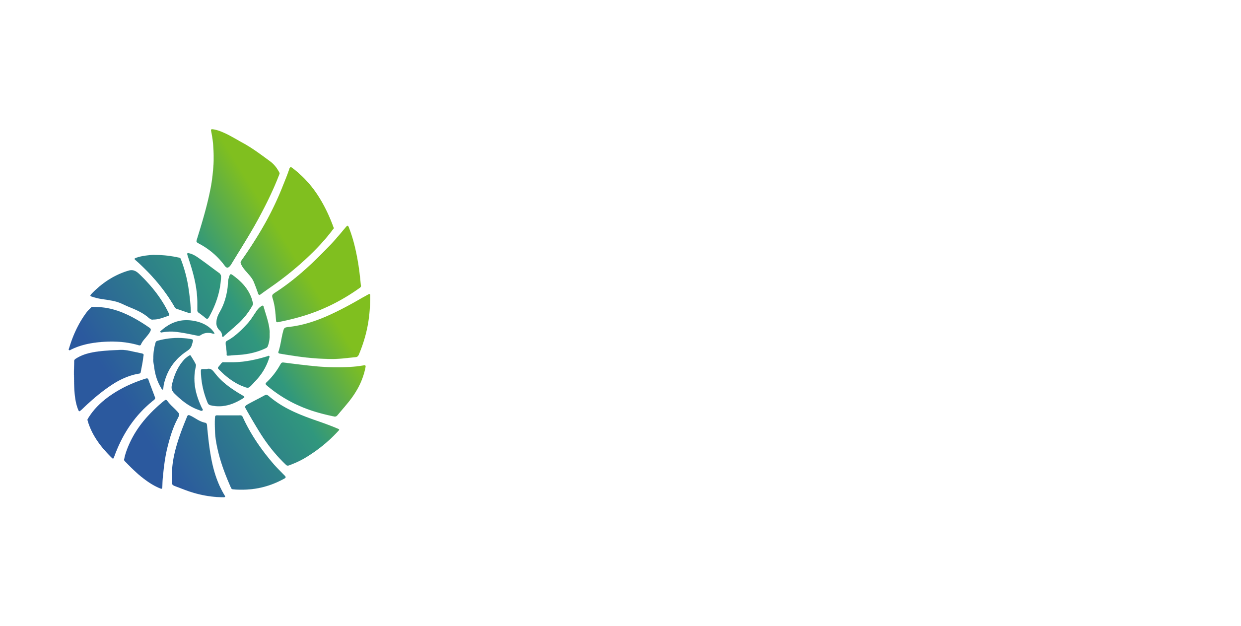 Fibonacci Solutions, Inc.